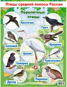 НоменклатураПрисоединенныеФайлы НоменклатураПрисоединенныеФайлы