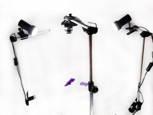 НоменклатураПрисоединенныеФайлы НоменклатураПрисоединенныеФайлы